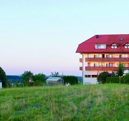 Drei Konige Отель